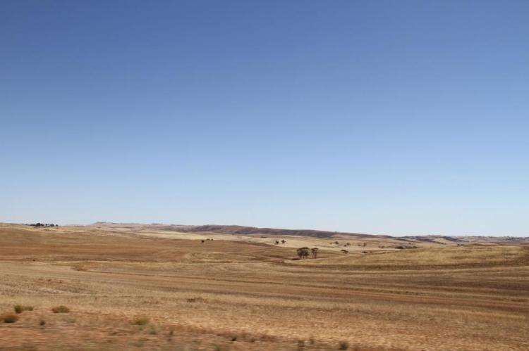 734750_10151189293787076_1373375913_n